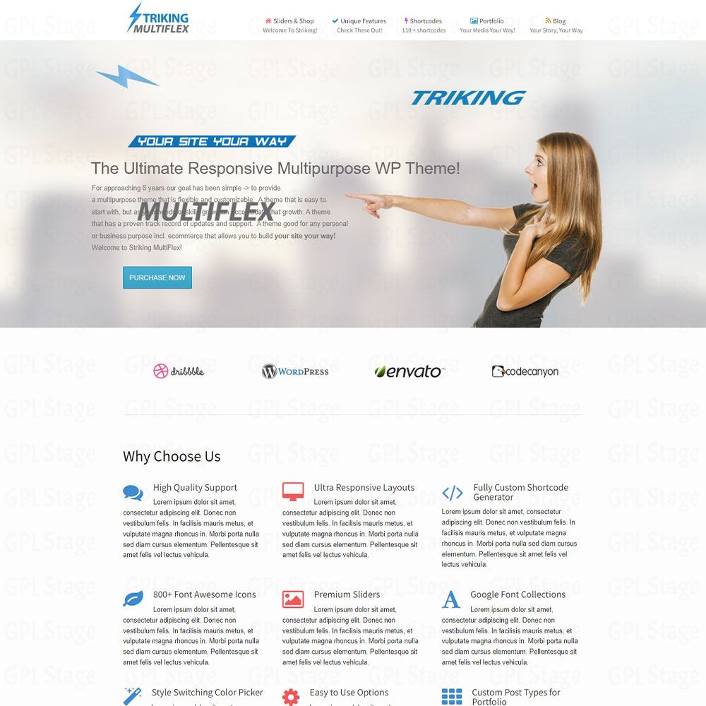 Striking "MultiFlex & Ecommerce Responsive WP Theme"